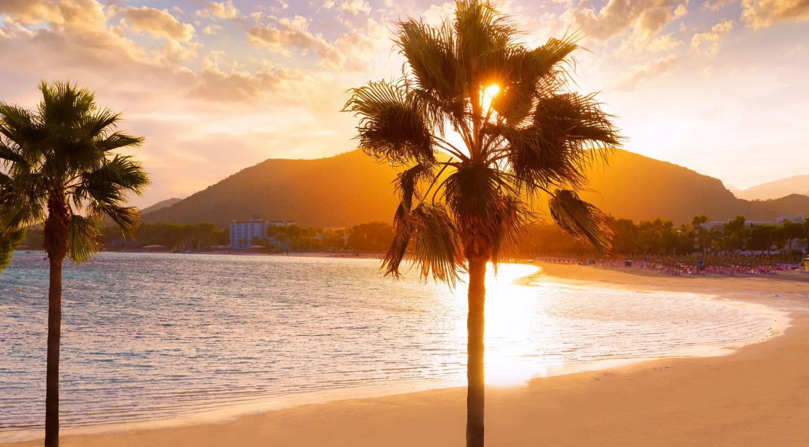 Sunrise behind palm trees on the beach at Port d'Alcúdia, Mallorca