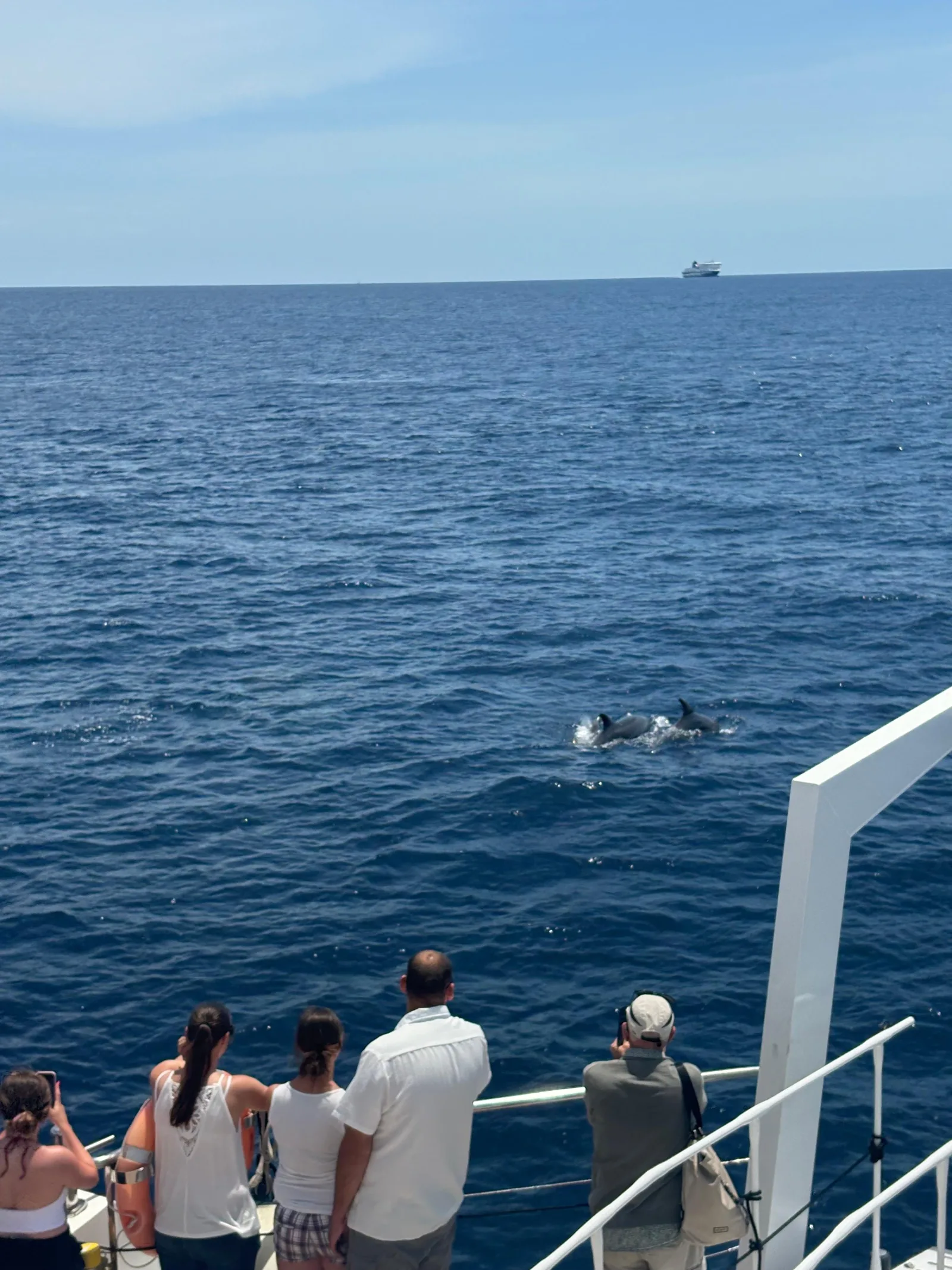Passengers watching from the rail with the coast on the horizon