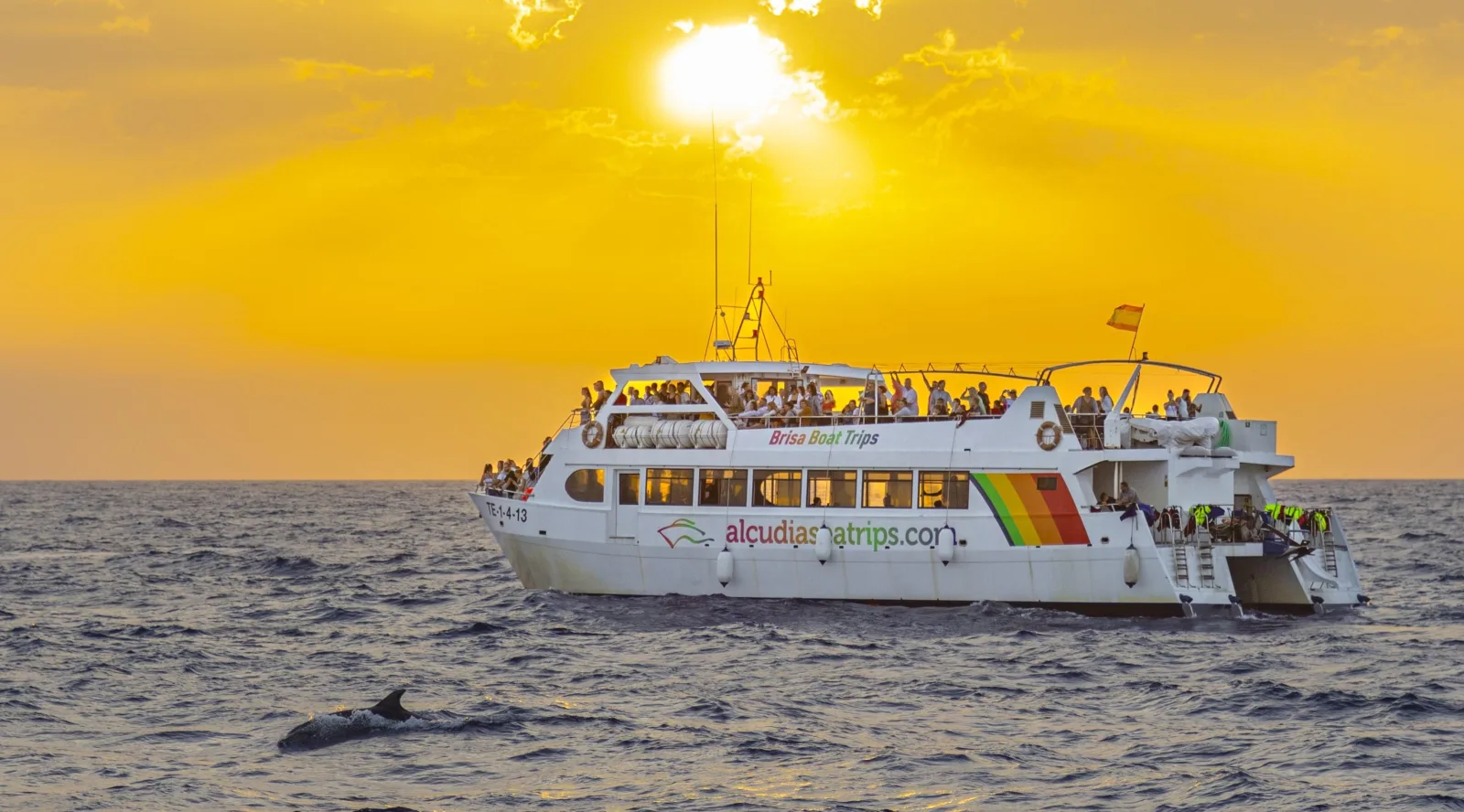 The catamaran silhouetted against a full sunrise over the Bay of Alcúdia