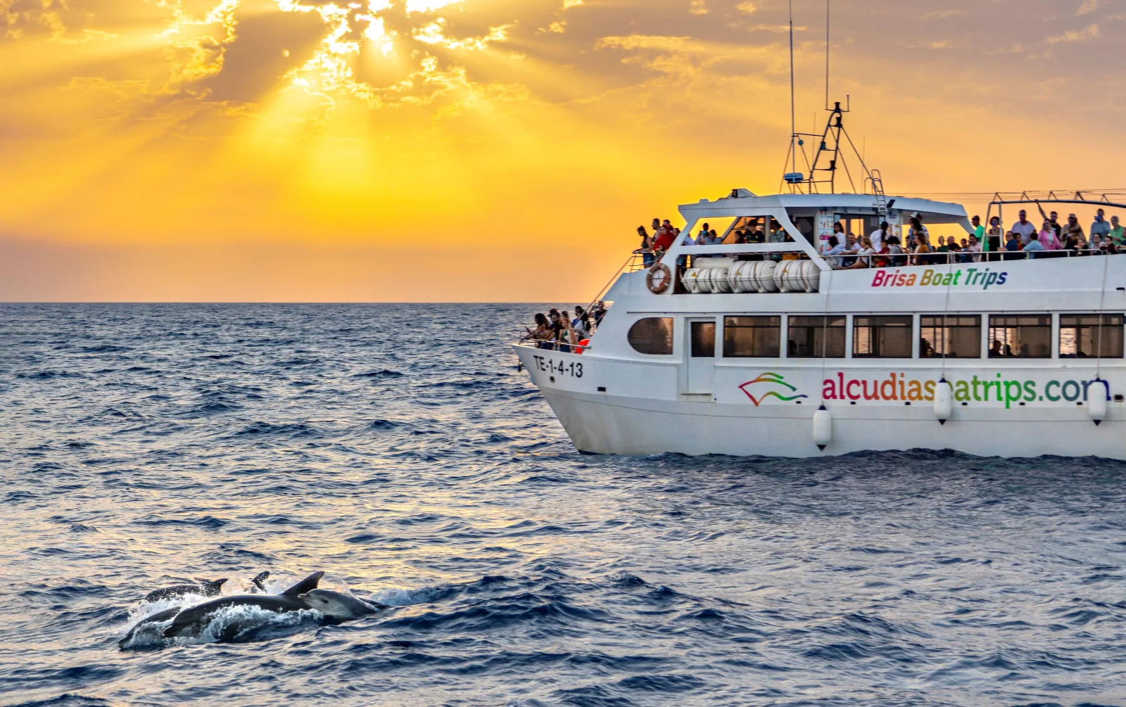 Alcúdia Sunrise at Sea Dolphin Watching Cruise