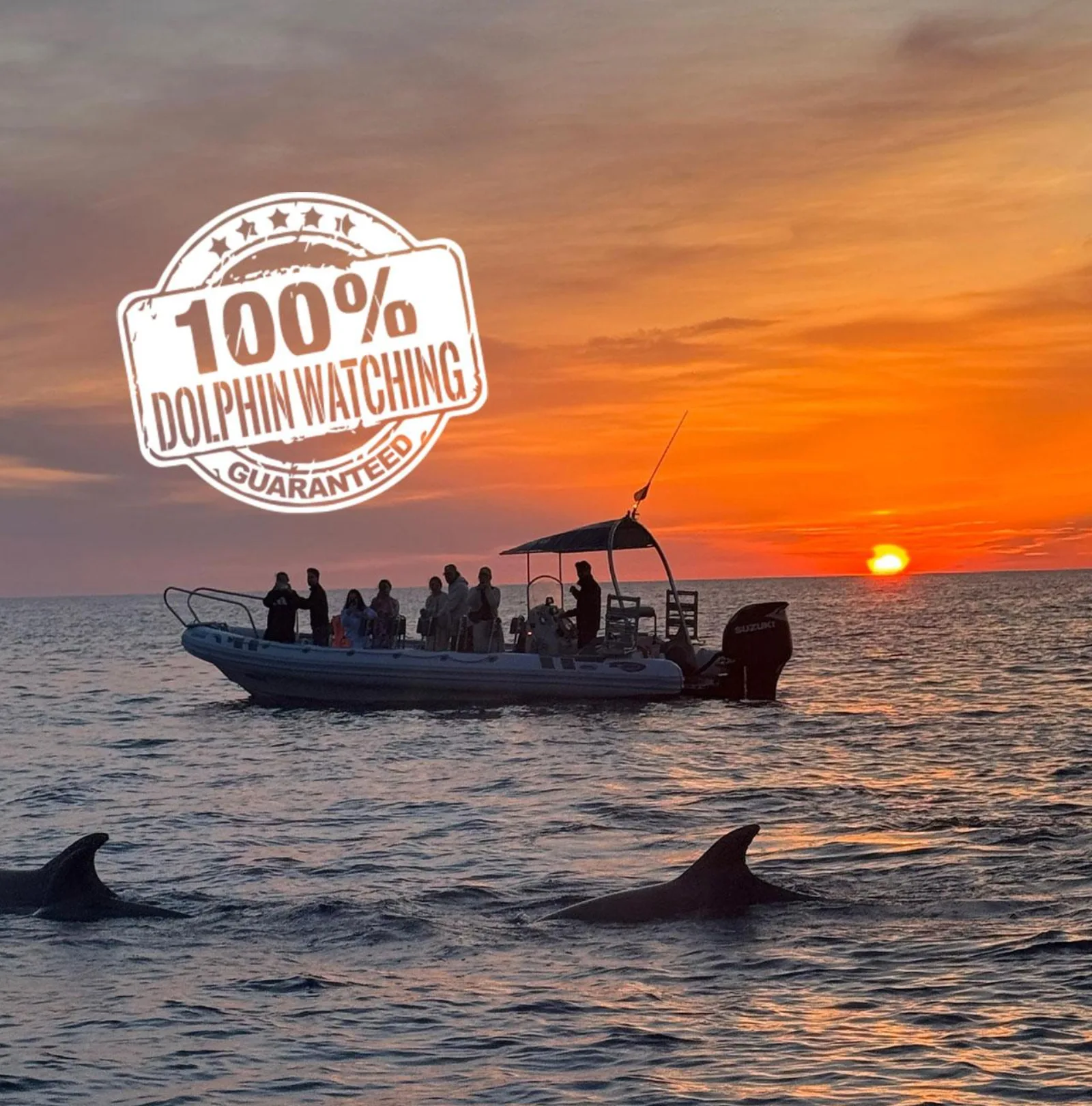 Alcudia Sea Explorer's boat at sunrise with a dolphin surfacing alongside