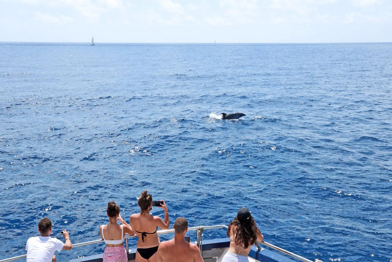Passengers along the bow rail watching for dolphins in open water