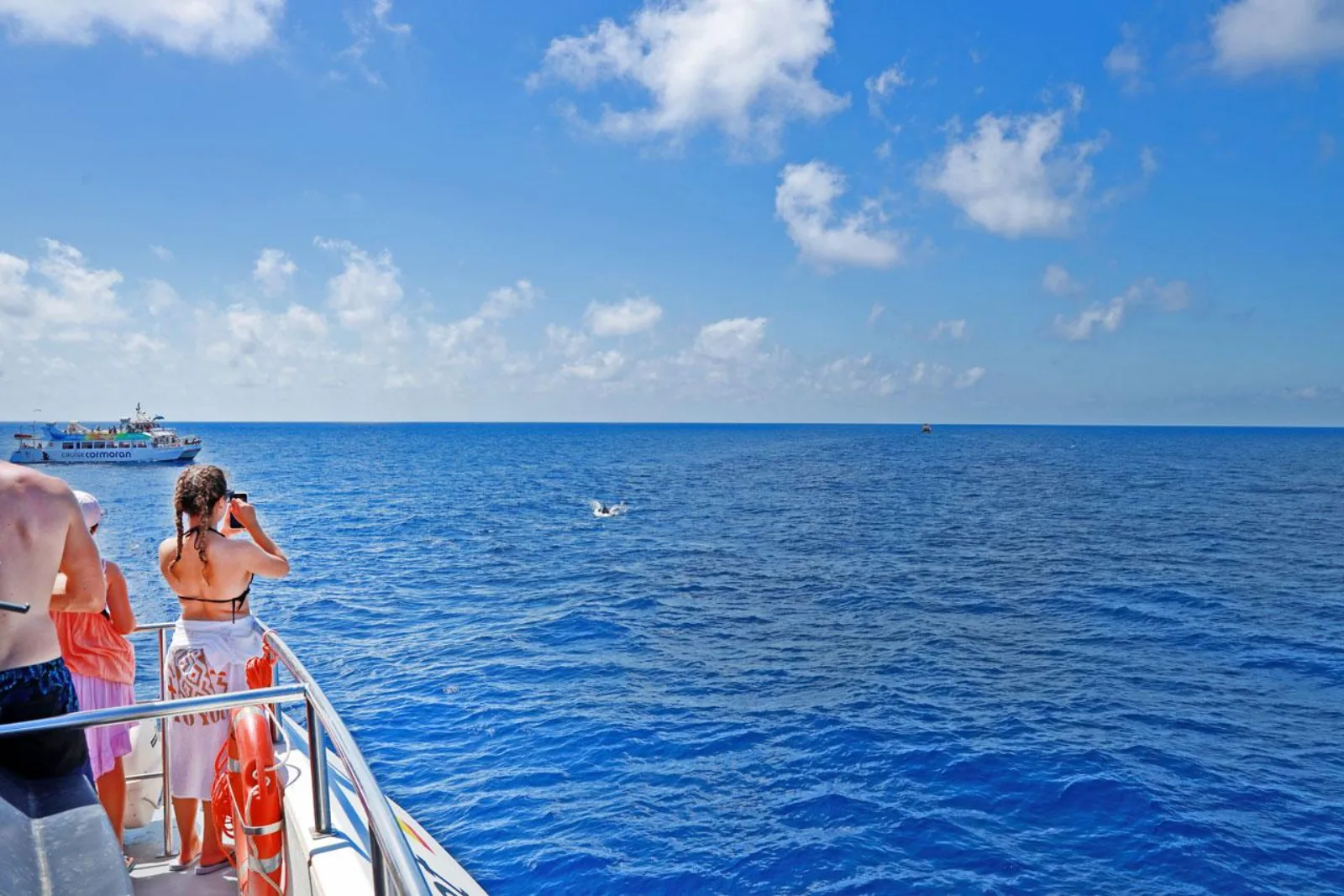 Passengers on the upper sun deck with another boat on the horizon