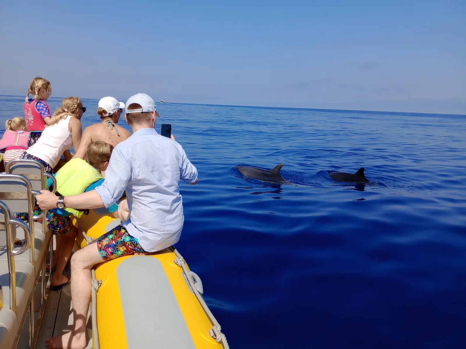 Guests seated on the speedboat's tubes watching dolphins in the distance