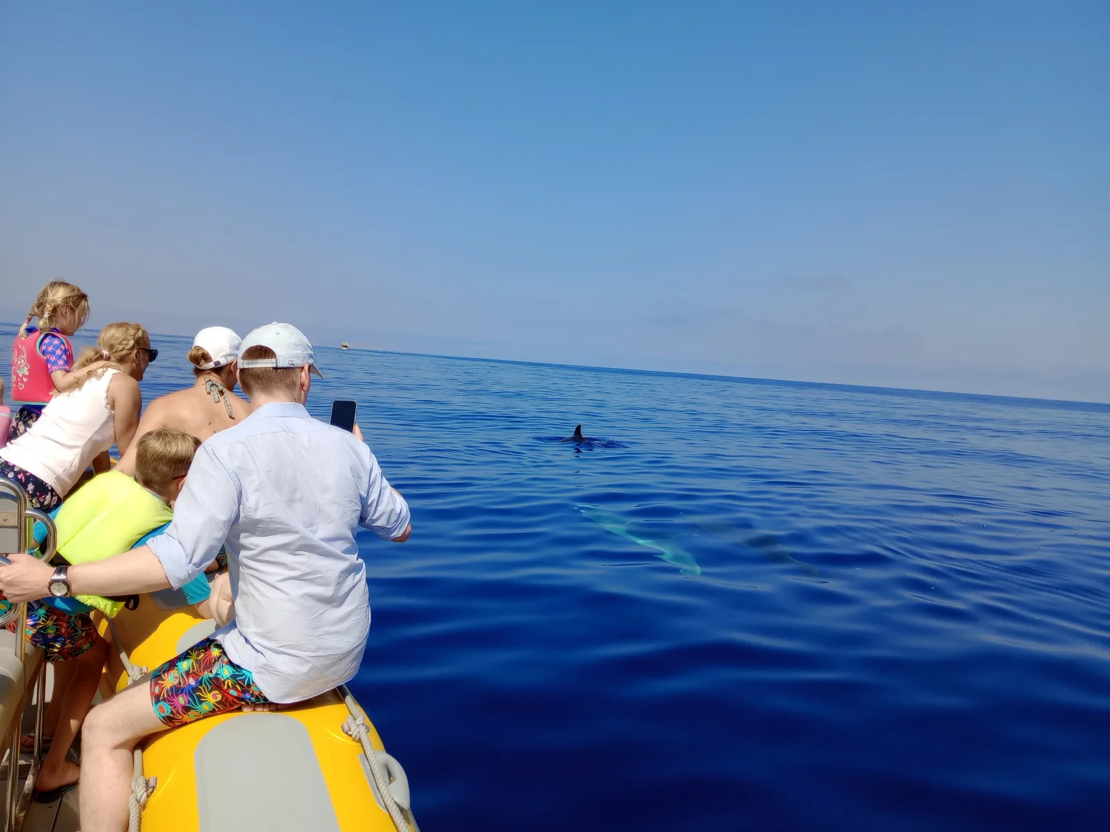Passengers watching a dolphin surface off the bow