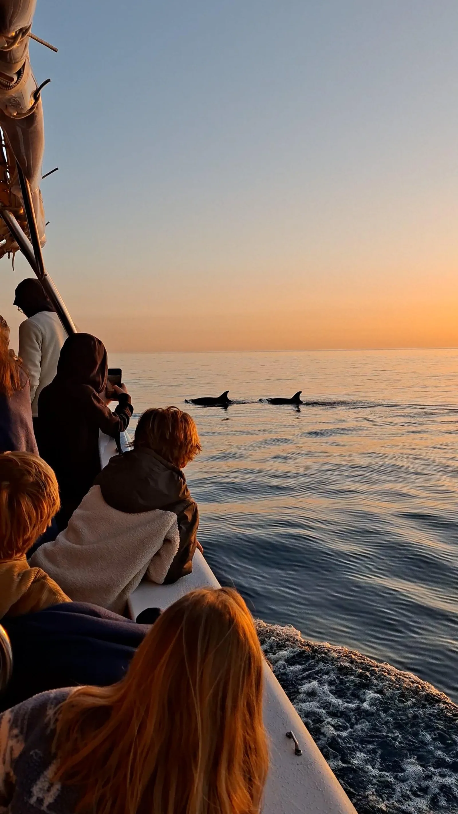 Passengers wrapped against the cold on deck as dolphins pass at first light