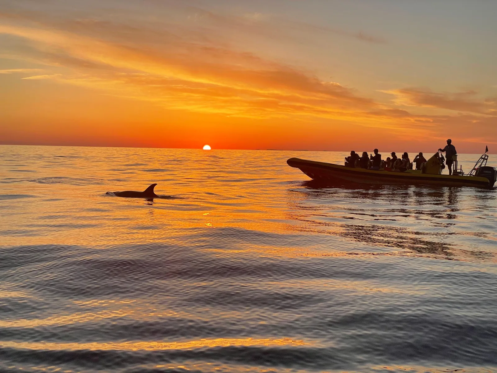 A dolphin's fin cutting the water beside the boat at sunrise