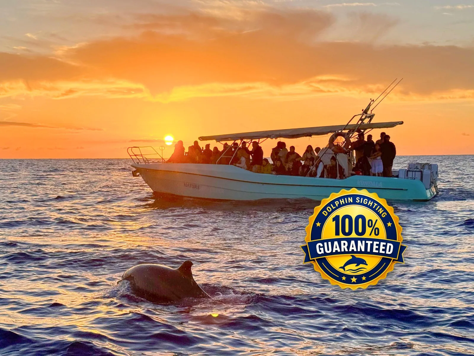 Alcúdia Sunrise Dolphin Watching with Hotel Pickup