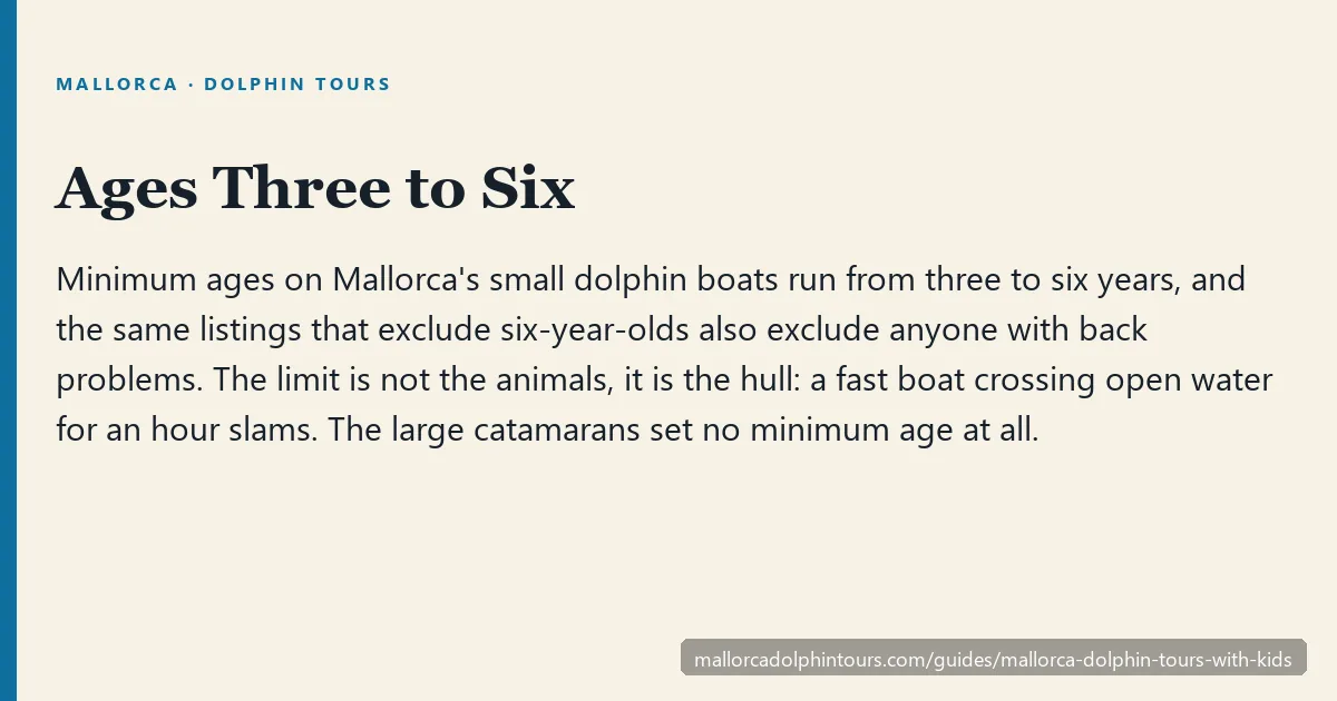 Mallorca dolphin tours and children: minimum ages by boat, from three to six years