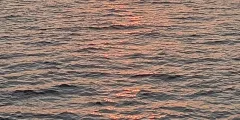 Guest photo from review
