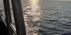 Guest photo from review