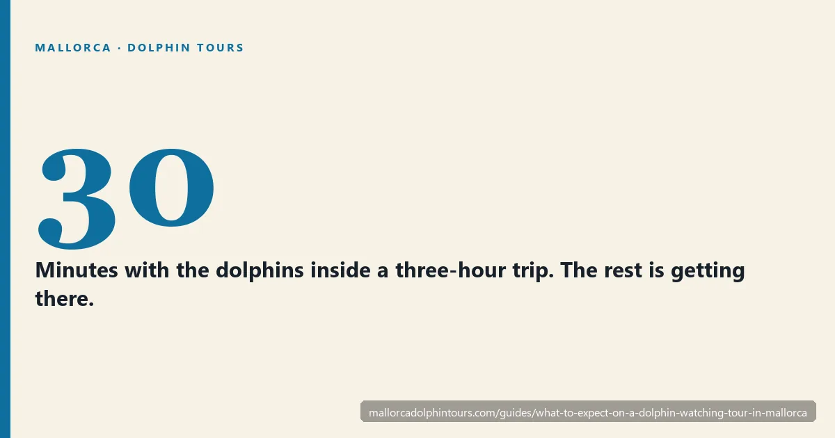 A three-hour Mallorca dolphin tour broken down: 30 minutes of dolphins, an hour of running each way