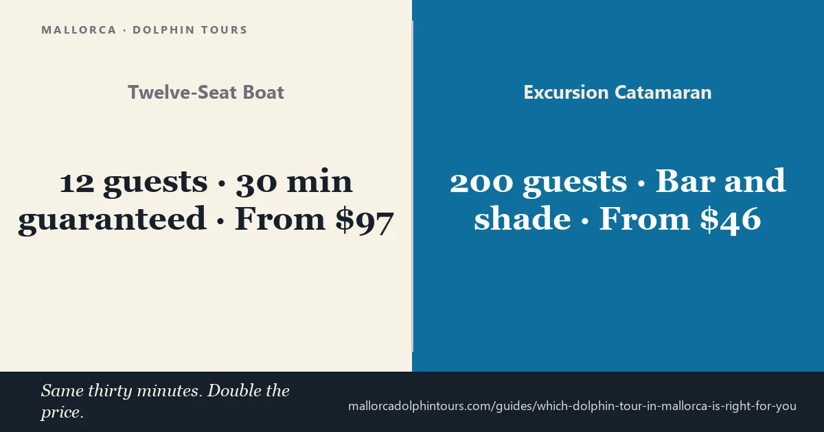 Mallorca dolphin tour comparison: twelve-seat boat versus a 200-seat catamaran